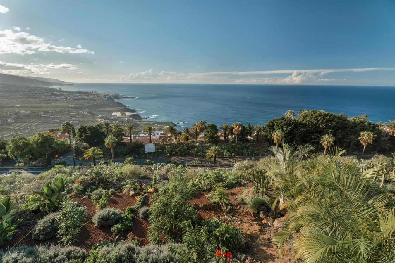 Villa Golden Horizon Con Piscina Privada Climatizada Santa Úrsula Екстериор снимка